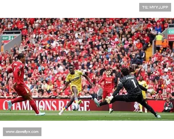 洛里昂门将单场扑救创纪录助力球队惊险保级成功